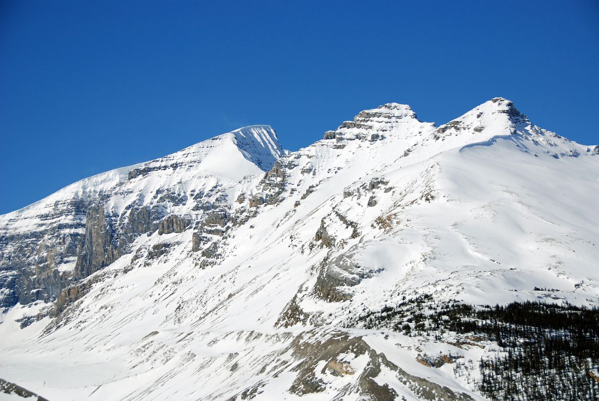 23 Mount Kitchener and Mount K2 From Columbia Icefield